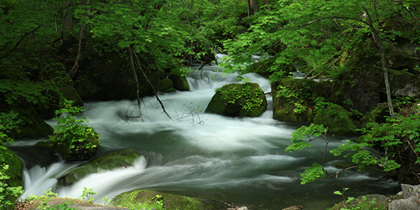 十和田イメージ